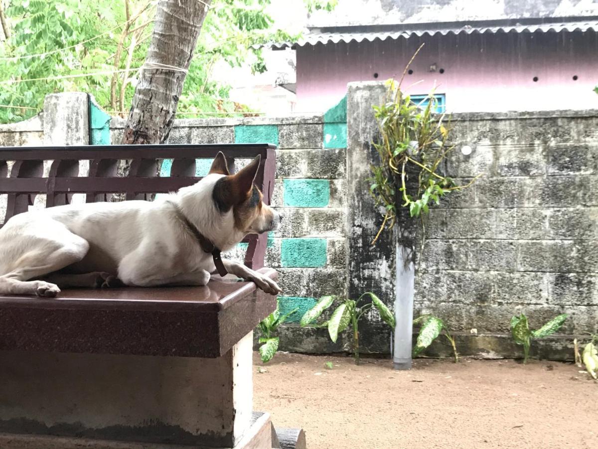 Alappuzha Beachaholic Homestay מראה חיצוני תמונה