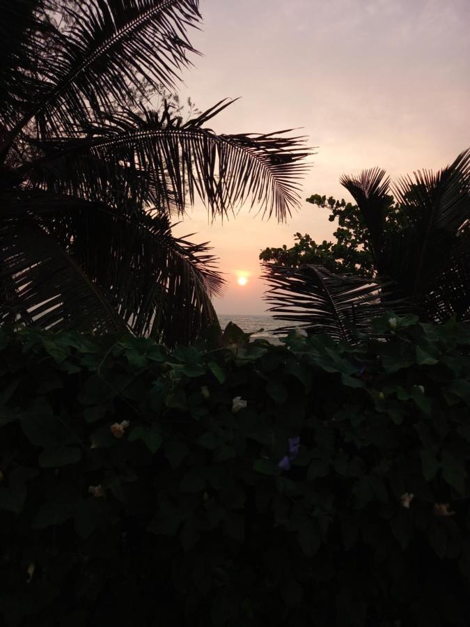 Alappuzha Beachaholic Homestay מראה חיצוני תמונה