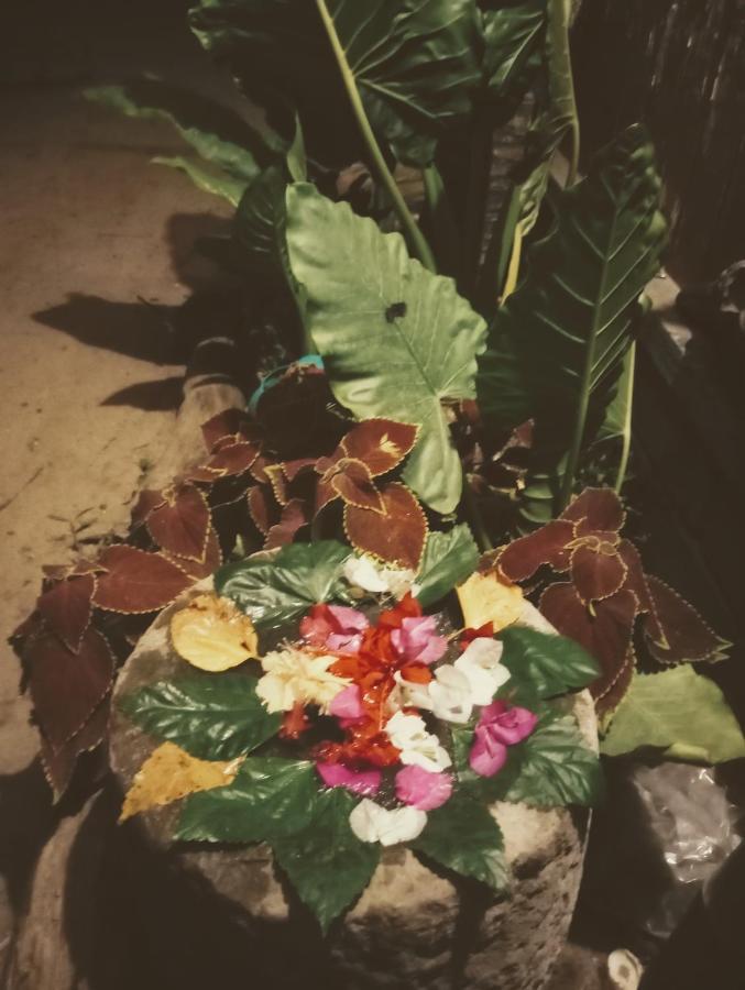 Alappuzha Beachaholic Homestay מראה חיצוני תמונה
