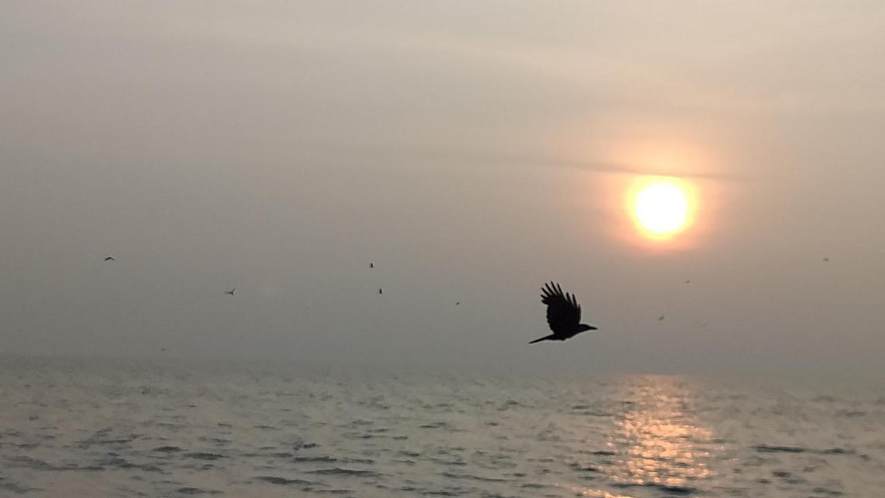 Alappuzha Beachaholic Homestay מראה חיצוני תמונה